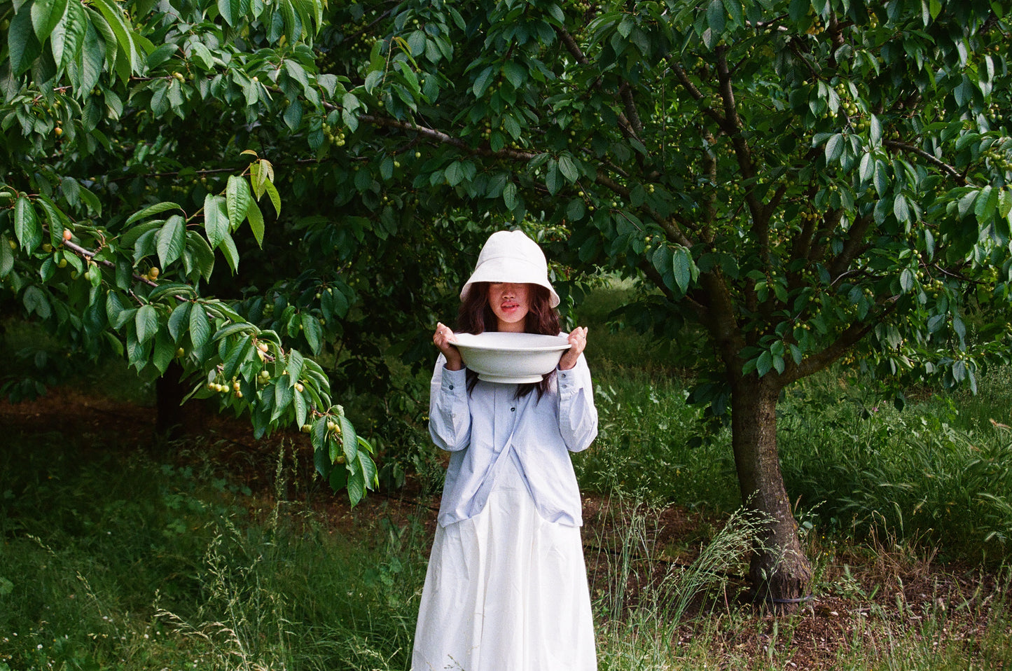 Laurence Button Down, Blue