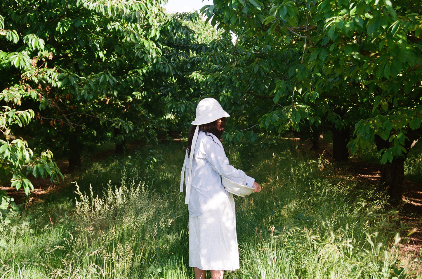 Laurence Button Down, Blue